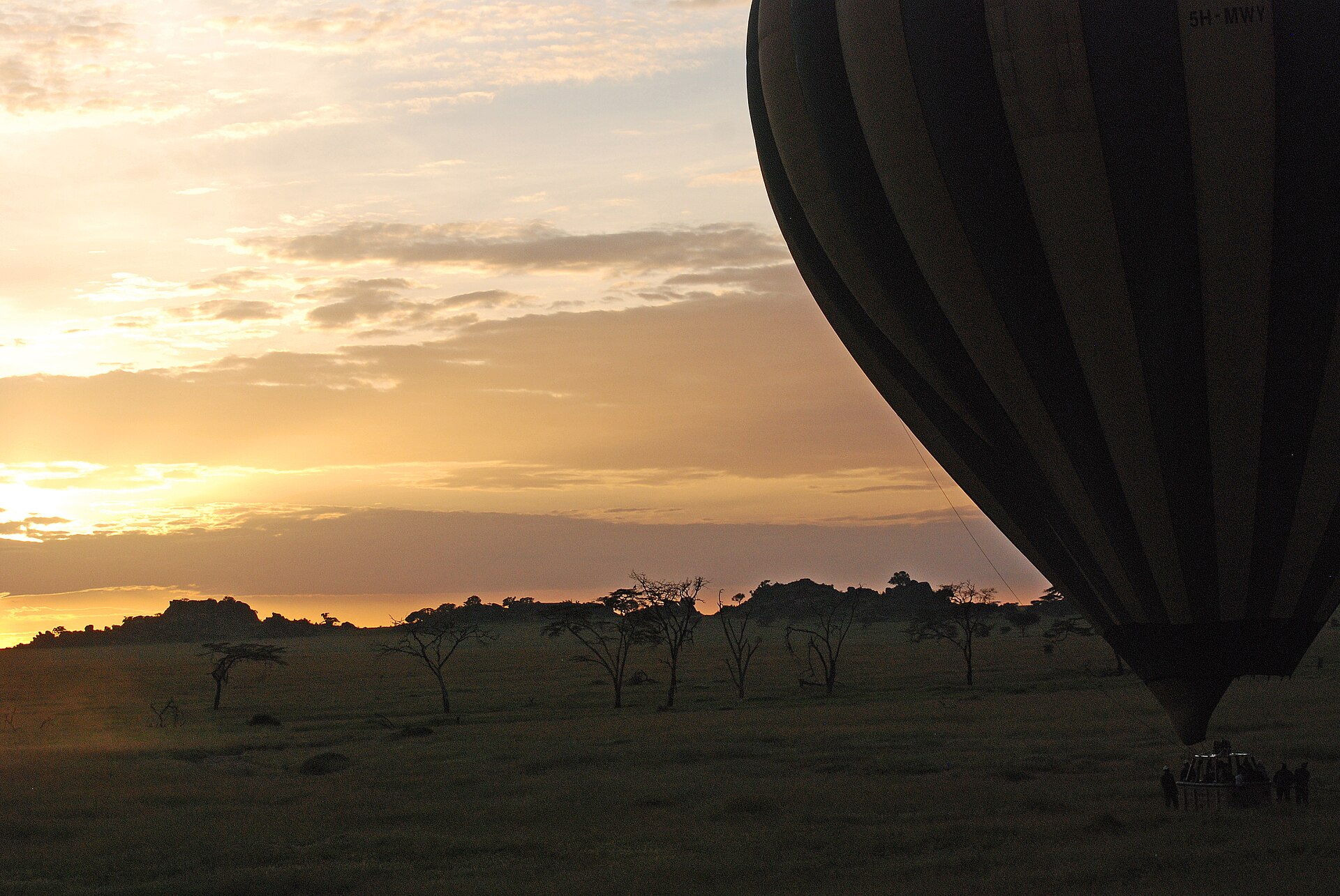 Hot Air Balloon Safari
