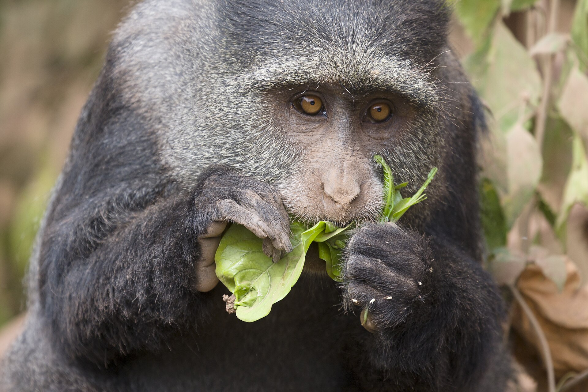 Lake Manyara National Park