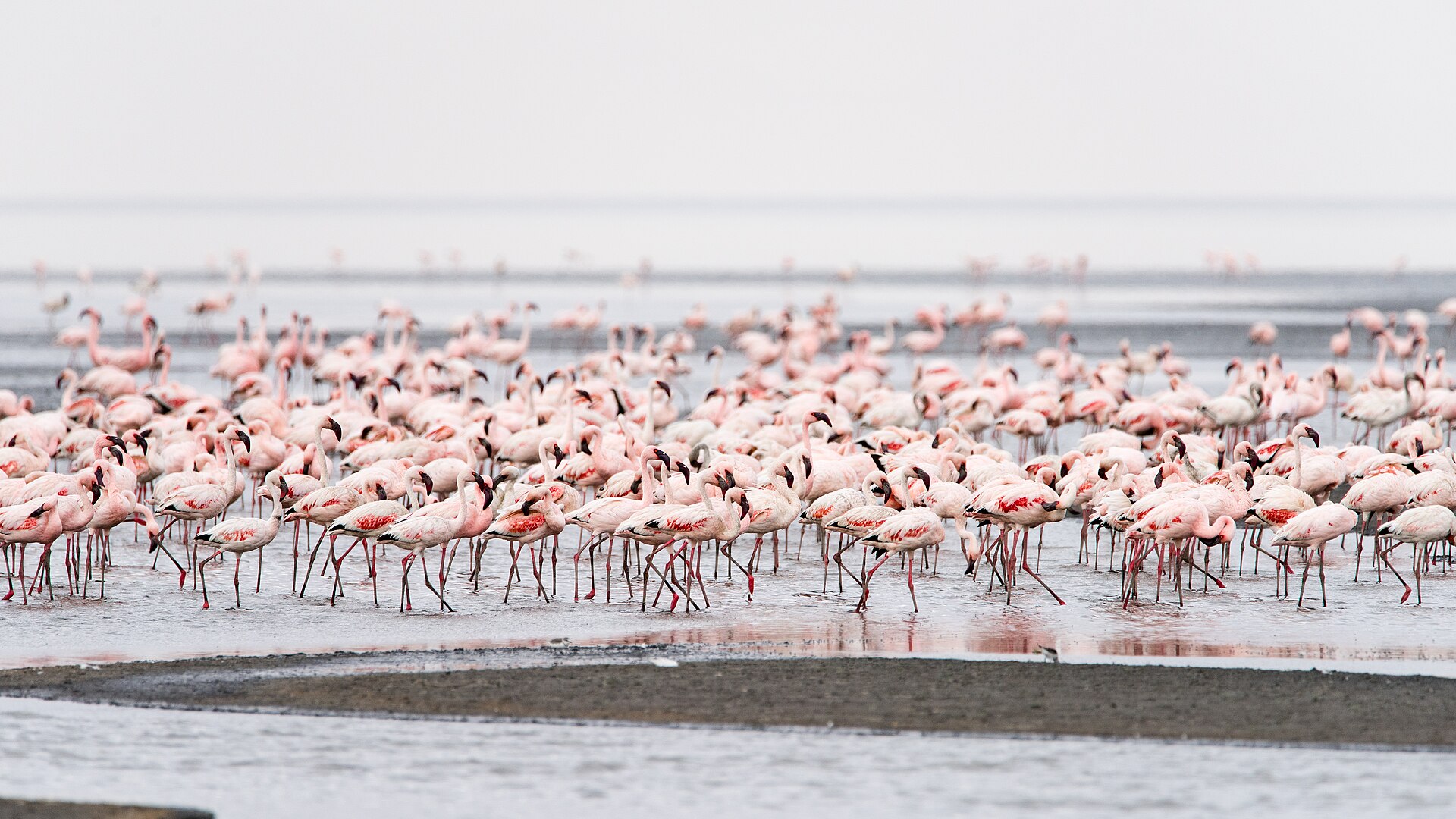 Lake Natron & Engare Sero Falls