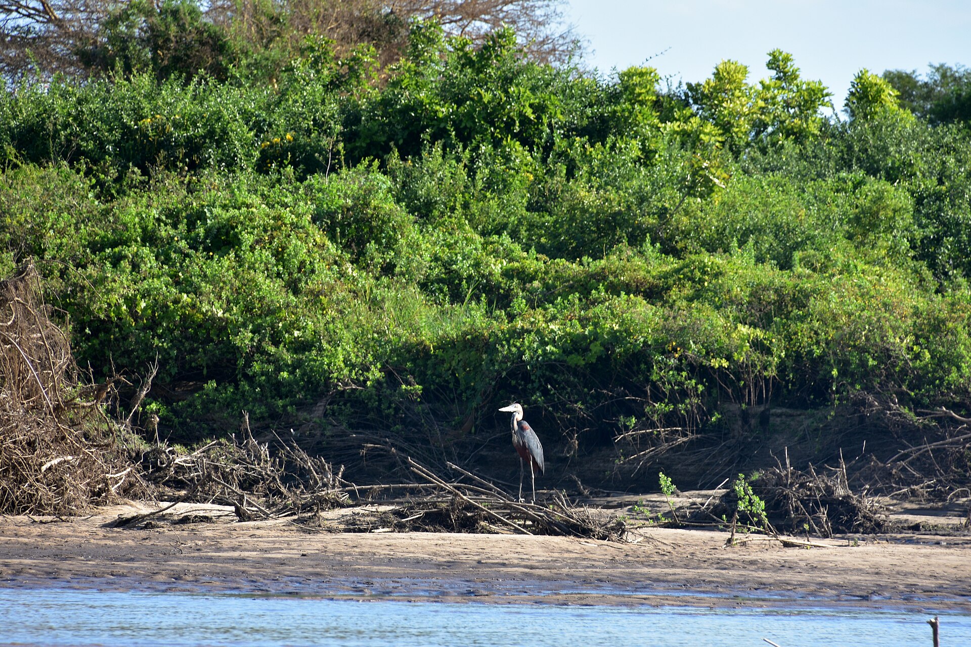 Nyerere National Park (Selous)