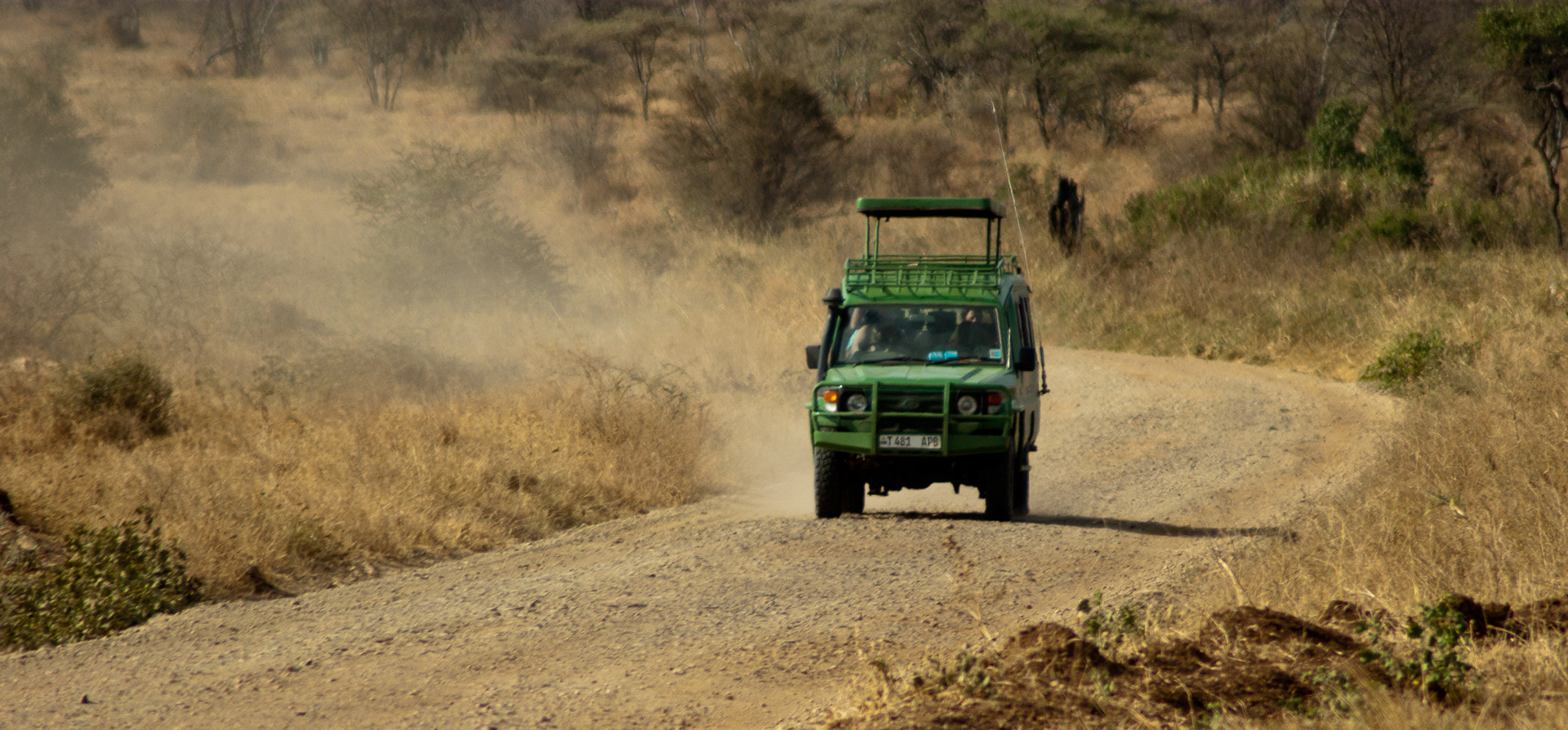 Guests watching lions from an open safari vehicle